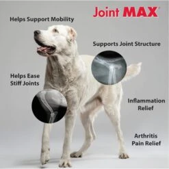 Joint MAX Triple Strength Chewable Tablets For Dogs -Pet Wellness 82370 PT3. AC SS1800 V1679689816