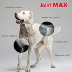 Joint MAX Triple Strength Soft Chews For Dogs -Pet Wellness 82373 PT4. AC SS1800 V1679690257
