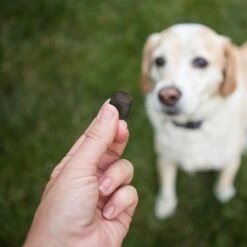 Joint MAX Triple Strength Soft Chews For Dogs -Pet Wellness 82373 PT7. AC SS1800 V1679689813