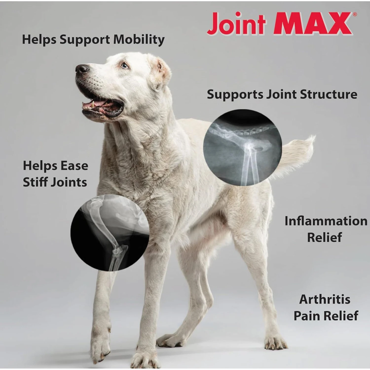 Joint MAX Triple Strength Hypo-Allergenic Granules For Dogs 5 Joint MAX Triple Strength Hypo-Allergenic Granules For Dogs - Image 5