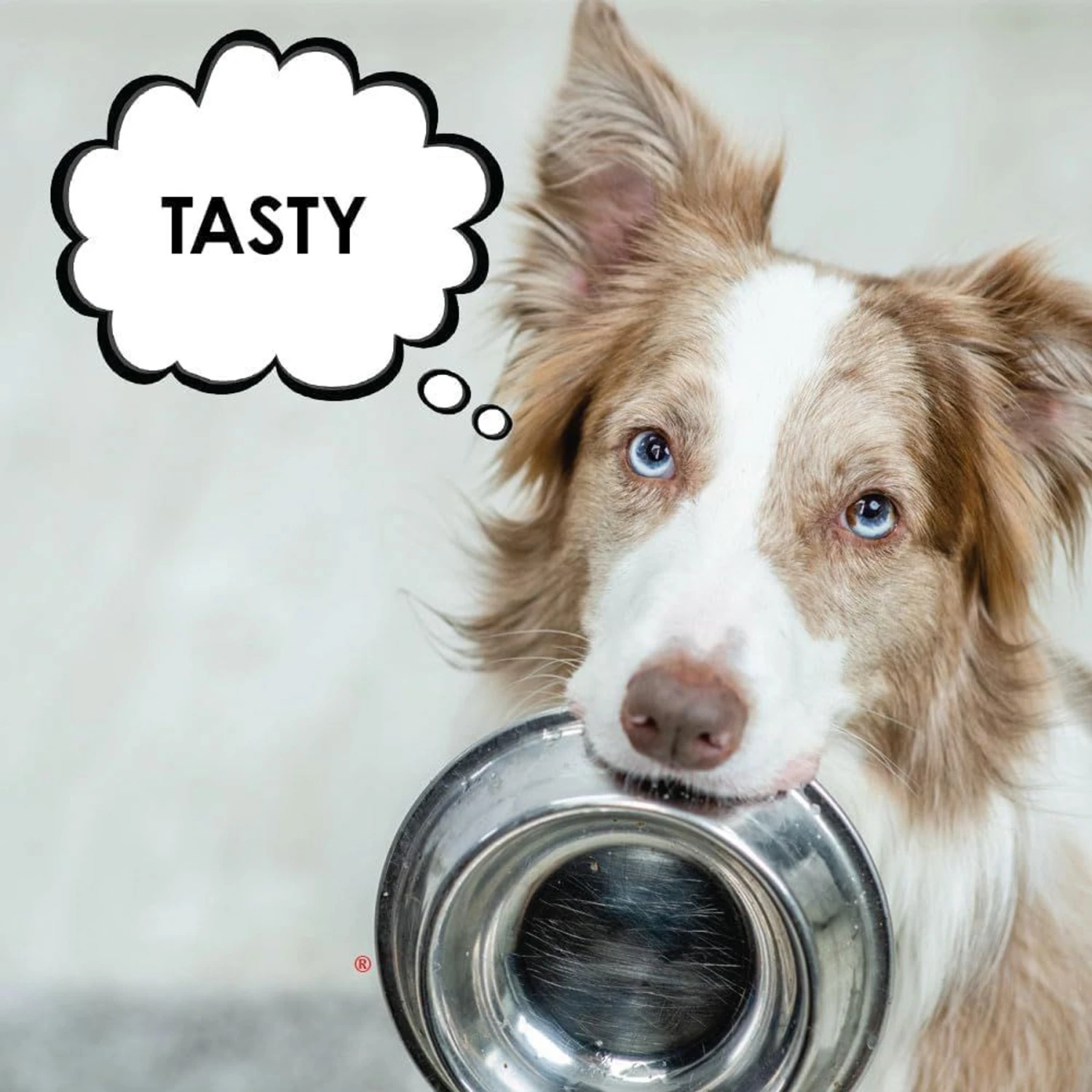 Joint MAX Triple Strength Hypo-Allergenic Granules For Dogs 7 Joint MAX Triple Strength Hypo-Allergenic Granules For Dogs - Image 7