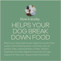 Yumwoof Natural Pet Food Perfect Digestion Dog Food Topper, 2.5-oz Jar 10 Yumwoof Natural Pet Food Perfect Digestion Dog Food Topper, 2.5-oz Jar -Pet Wellness 823806 PT4. AC SS1800 V1681230811