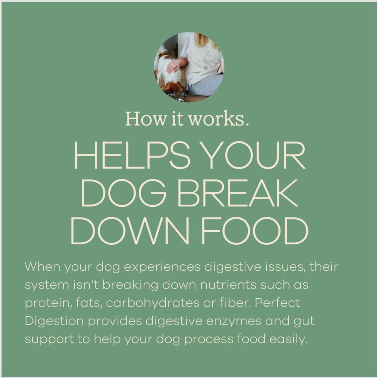 Yumwoof Natural Pet Food Perfect Digestion Dog Food Topper, 2.5-oz Jar 5 Yumwoof Natural Pet Food Perfect Digestion Dog Food Topper, 2.5-oz Jar - Image 5