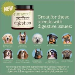 Yumwoof Natural Pet Food Perfect Digestion Dog Food Topper, 2.5-oz Jar 11 Yumwoof Natural Pet Food Perfect Digestion Dog Food Topper, 2.5-oz Jar -Pet Wellness 823806 PT5. AC SS1800 V1681230869
