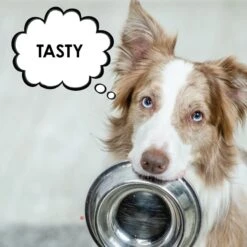 Joint MAX Liquid For Dogs -Pet Wellness 82401 PT4. AC SS1800 V1679927722