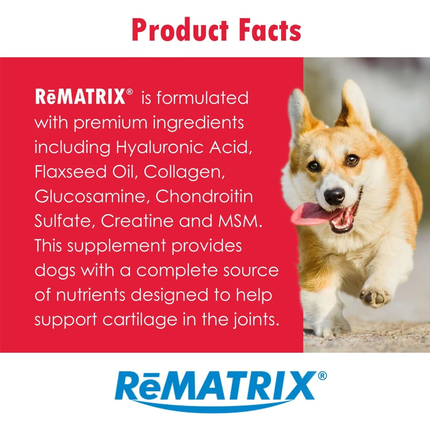 ReMATRIX Soft Chews For Dogs 8 ReMATRIX Soft Chews For Dogs - Image 8