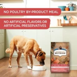 Rachael Ray Nutrish Real Salmon, Veggies & Brown Rice Recipe Gentle Digestion Dry Dog Food -Pet Wellness 824998 PT3. AC SS1800 V1681145139