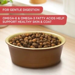 Rachael Ray Nutrish Real Salmon, Veggies & Brown Rice Recipe Gentle Digestion Dry Dog Food -Pet Wellness 824998 PT4. AC SS1800 V1681145140