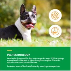 NaturVet Scoopables Advanced Probiotics & Enzymes Dog Digestive Supplement, 11-oz Bag -Pet Wellness 825038 PT6. AC SS1800 V1682004086