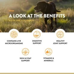 NaturVet Scoopables All-In-One 4-in-1 Support Dog Supplement, 11-oz Bag -Pet Wellness 825054 PT6. AC SS1800 V1681999712
