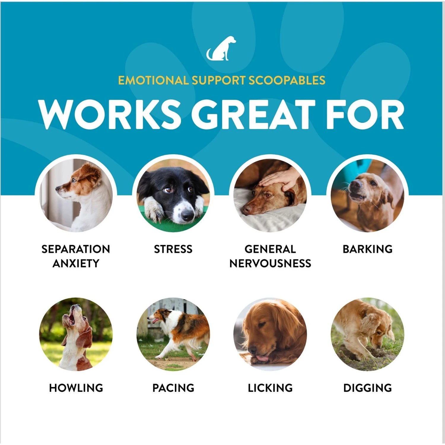 NaturVet Scoopables Emotional Support Daily Calming Aid Dog Supplement, 11-oz Bag 6 NaturVet Scoopables Emotional Support Daily Calming Aid Dog Supplement, 11-oz Bag - Image 6