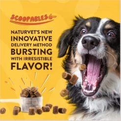 NaturVet Scoopables Glucosamine DS Plus Level 2 Moderate Joint Care Dog Supplement, 11-oz Bag -Pet Wellness 825134 PT3. AC SS1800 V1682004043