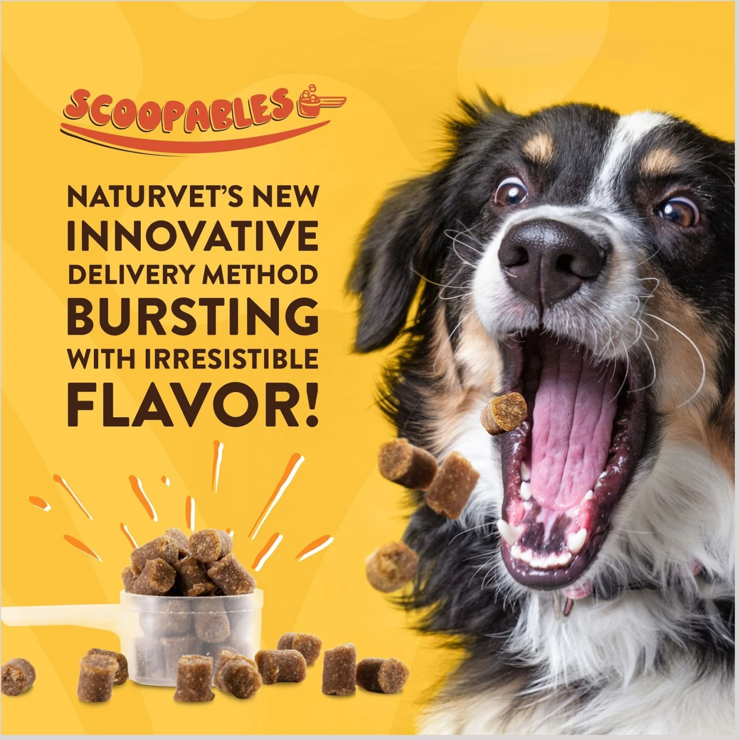 NaturVet Scoopables No Scoot Anal Gland Support Dog Supplement, 11-oz Bag 4 NaturVet Scoopables No Scoot Anal Gland Support Dog Supplement, 11-oz Bag - Image 4