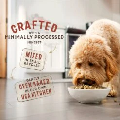 Stella & Chewy's SuperBlends Raw Coated Wholesome Grains Cage-Free Chicken & Duck Recipe With Superfoods Dry Dog Food -Pet Wellness 825846 PT8. AC SS1800 V1683552798