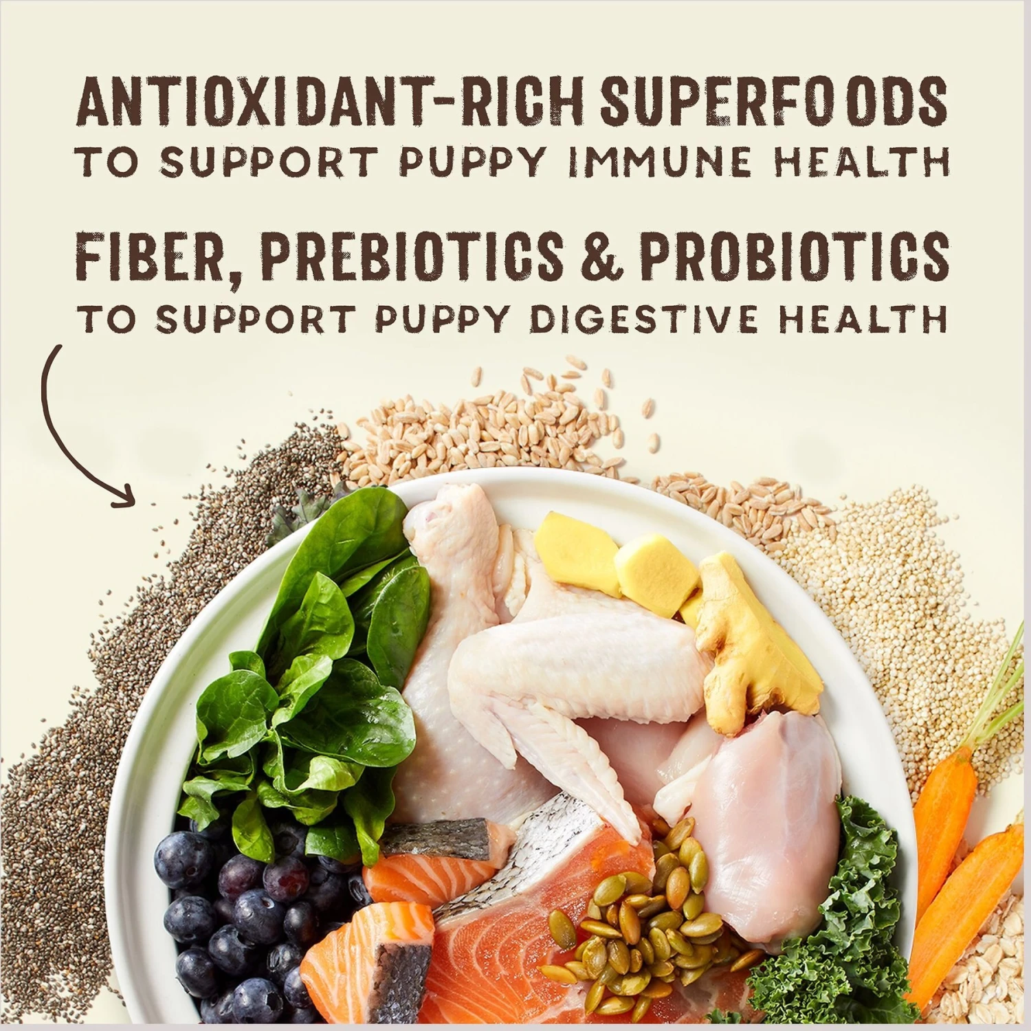 Stella & Chewy's SuperBlends Raw Blend Wholesome Grains Puppy Cage-Free Chicken & Wild Caught Salmon Recipe With Superfoods Dry Dog Food 5 Stella & Chewy's SuperBlends Raw Blend Wholesome Grains Puppy Cage-Free Chicken & Wild Caught Salmon Recipe With Superfoods Dry Dog Food - Image 5