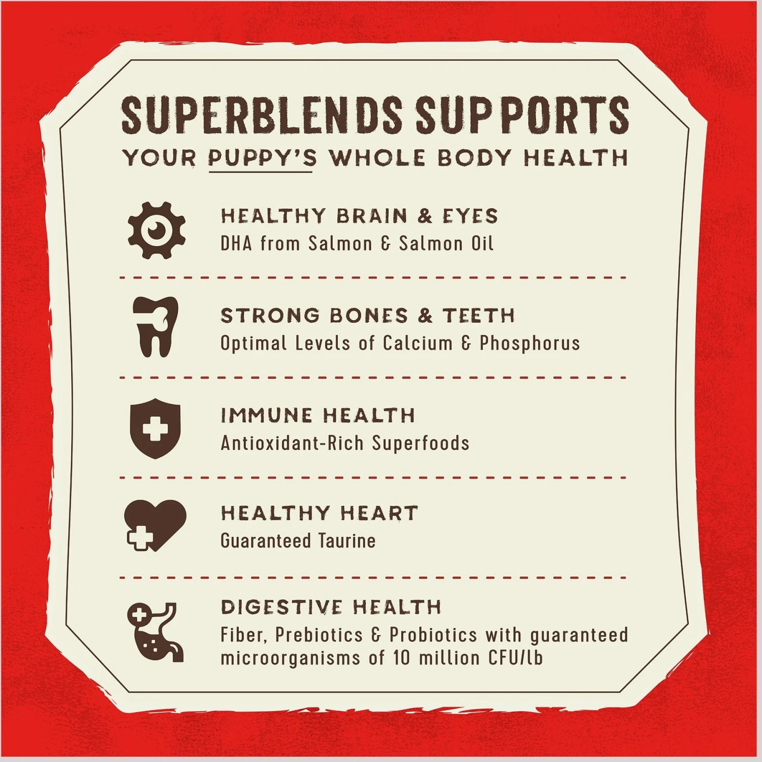 Stella & Chewy's SuperBlends Raw Blend Wholesome Grains Puppy Cage-Free Chicken & Wild Caught Salmon Recipe With Superfoods Dry Dog Food 8 Stella & Chewy's SuperBlends Raw Blend Wholesome Grains Puppy Cage-Free Chicken & Wild Caught Salmon Recipe With Superfoods Dry Dog Food - Image 8