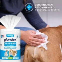 Vetnique Labs Glandex Wipes Rear End Anal Gland Cleansing & Deodorizing Hygienic Rear End Boot The Scoot Dog & Cat Wipes & Vetnique Labs Glandex Anal Gland Medicated Anti Itch Spray For Dogs & Cats, 4-oz Bottle -Pet Wellness 826438 PT4. AC SS1800 V1681332401