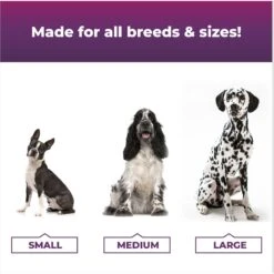 VetriScience Omega Plus Advanced Skin Duck Flavor Dogs & Cats Supplement, 40 Count 11 VetriScience Omega Plus Advanced Skin Duck Flavor Dogs & Cats Supplement, 40 Count -Pet Wellness 826526 PT4. AC SS1800 V1682369699