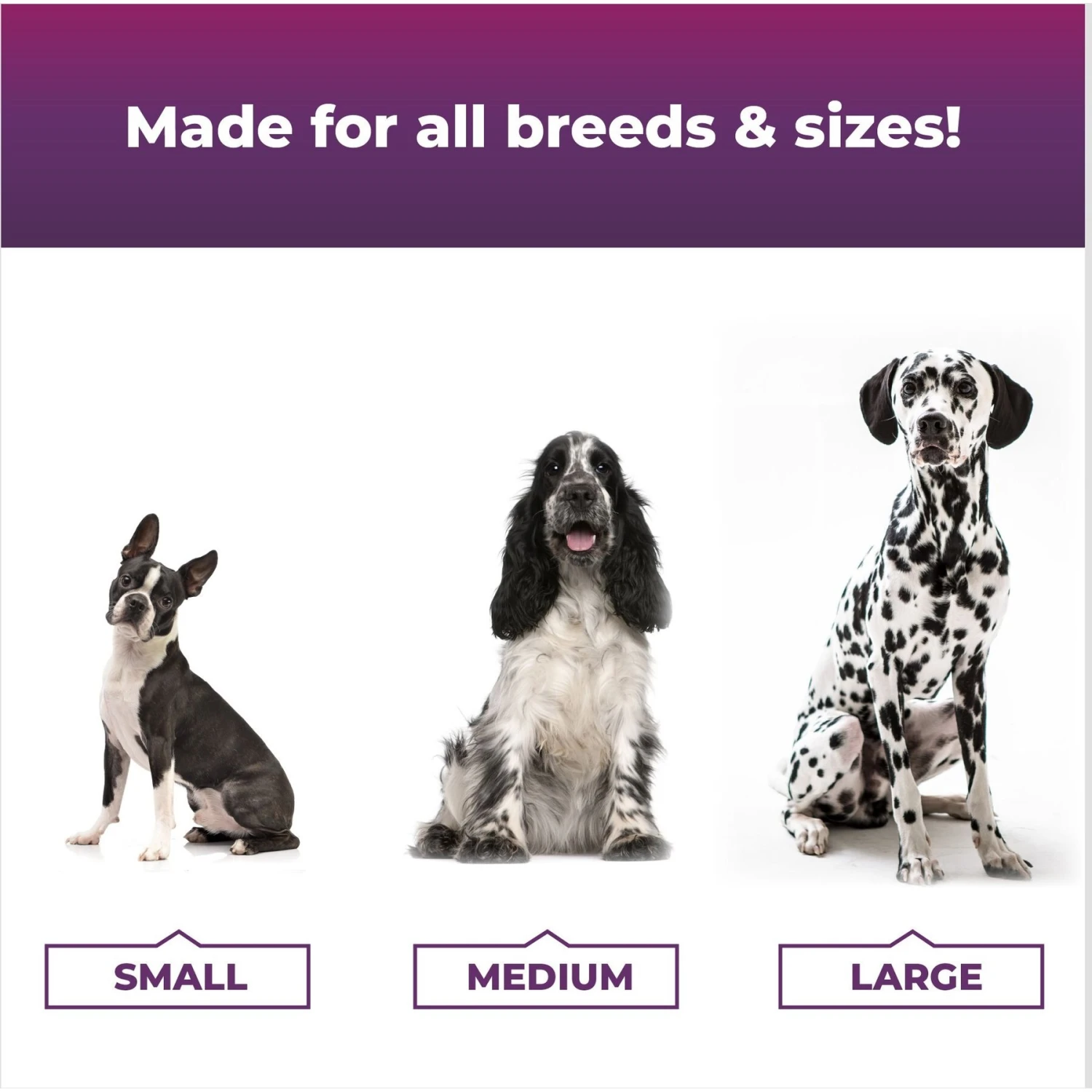 VetriScience Omega Plus Advanced Skin Duck Flavor Dogs & Cats Supplement, 40 Count 5 VetriScience Omega Plus Advanced Skin Duck Flavor Dogs & Cats Supplement, 40 Count - Image 5