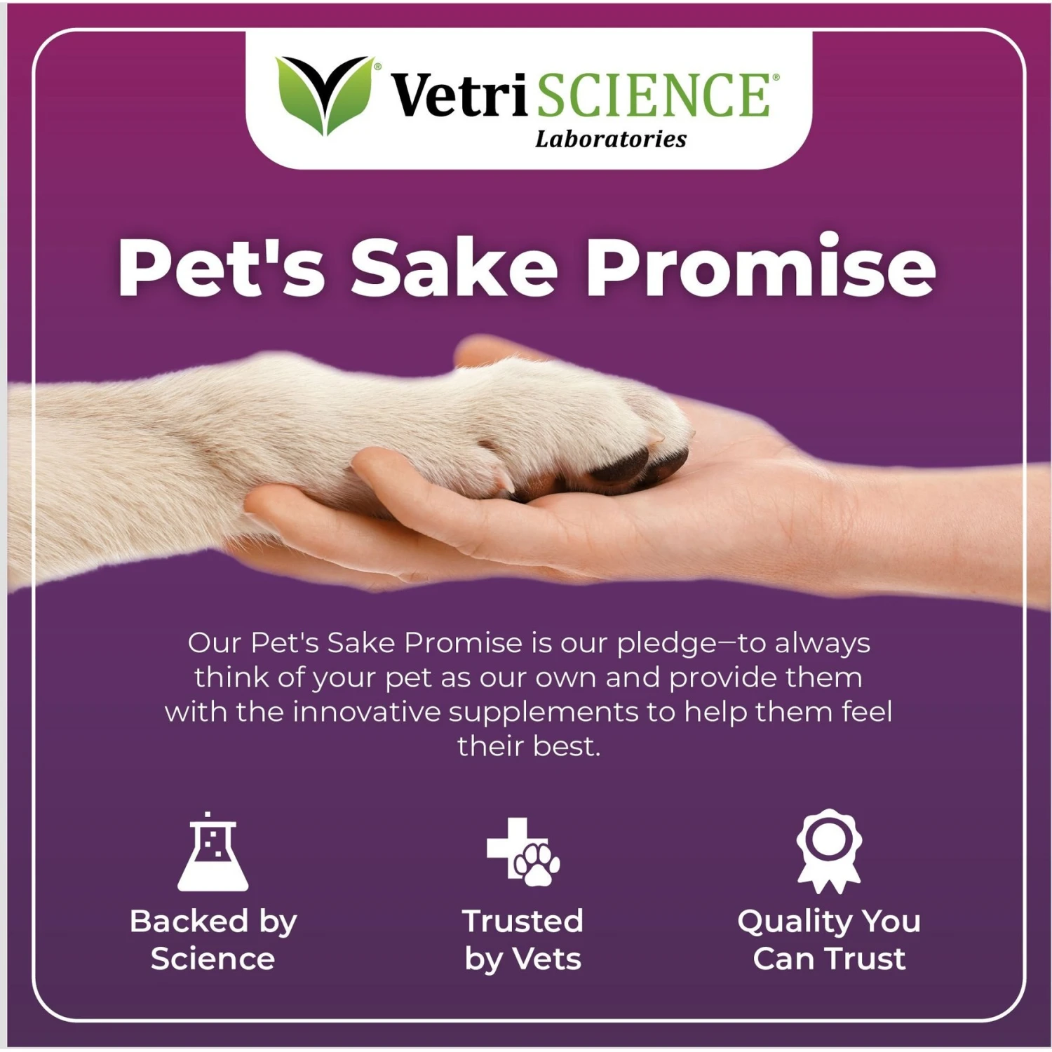 VetriScience Omega Plus Advanced Skin Duck Flavor Dogs & Cats Supplement, 40 Count 6 VetriScience Omega Plus Advanced Skin Duck Flavor Dogs & Cats Supplement, 40 Count - Image 6