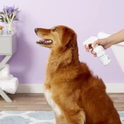 TrizCHLOR 4 Spray Conditioner For Dogs, Cats & Horses -Pet Wellness 83017 PT3. AC SS1800 V1543011674