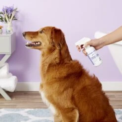 TrizCHLOR 4HC Spray Conditioner For Dog, Cats & Horses -Pet Wellness 83043 PT3. AC SS1800 V1543271623