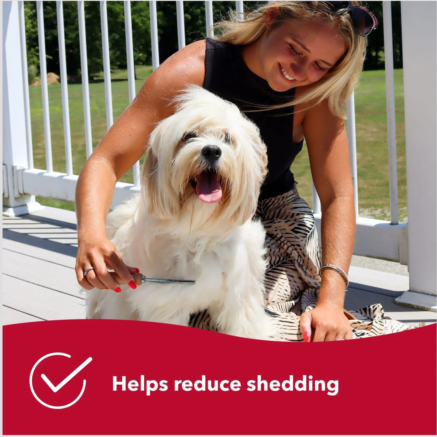 Safari Shedding Comb For Long-haired Dogs 5 Safari Shedding Comb For Long-haired Dogs - Image 5