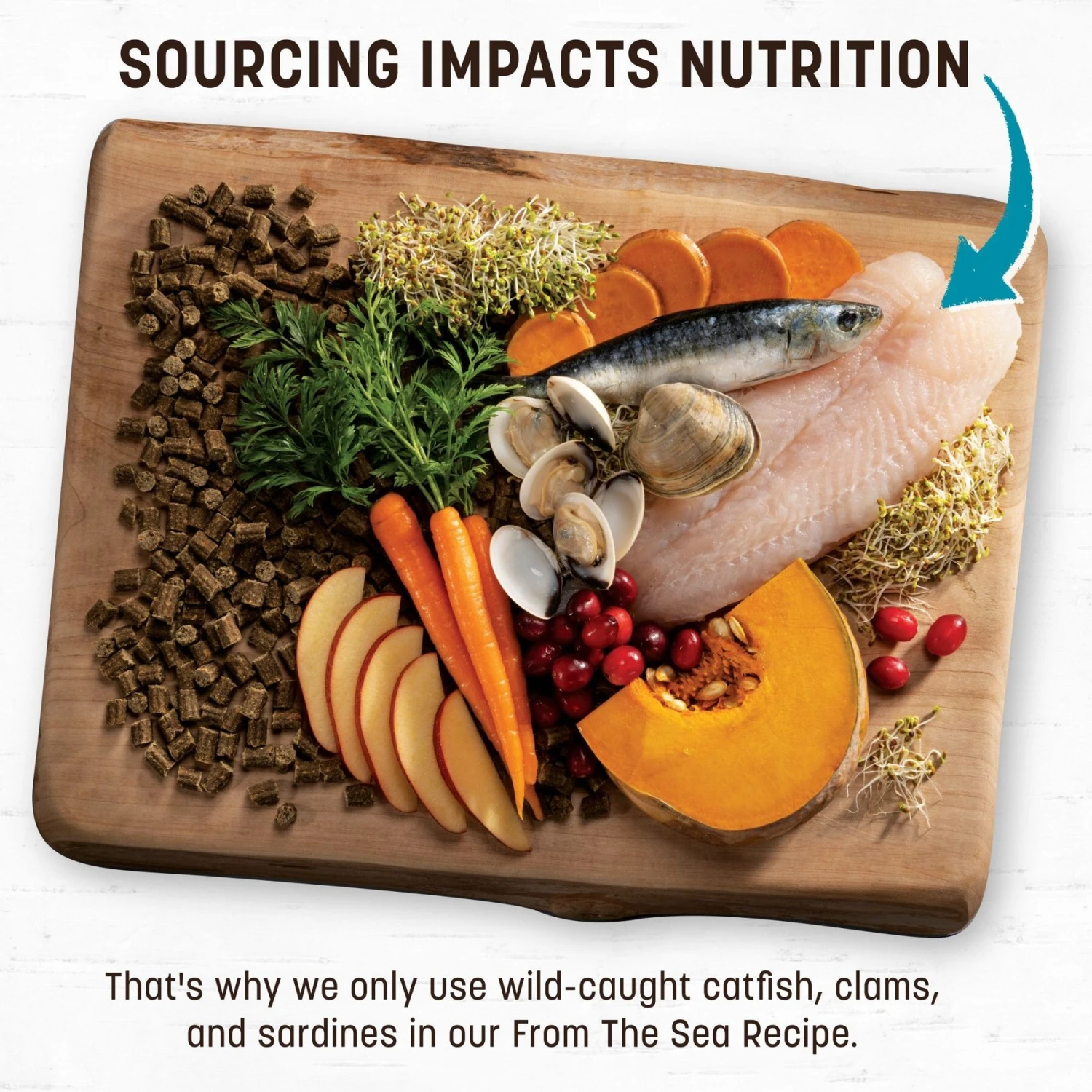 Earth Animal Wisdom Air-Dried From The Sea Recipe Premium Natural Dog Food, 8-lb Bag 3 Earth Animal Wisdom Air-Dried From The Sea Recipe Premium Natural Dog Food, 8-lb Bag - Image 3