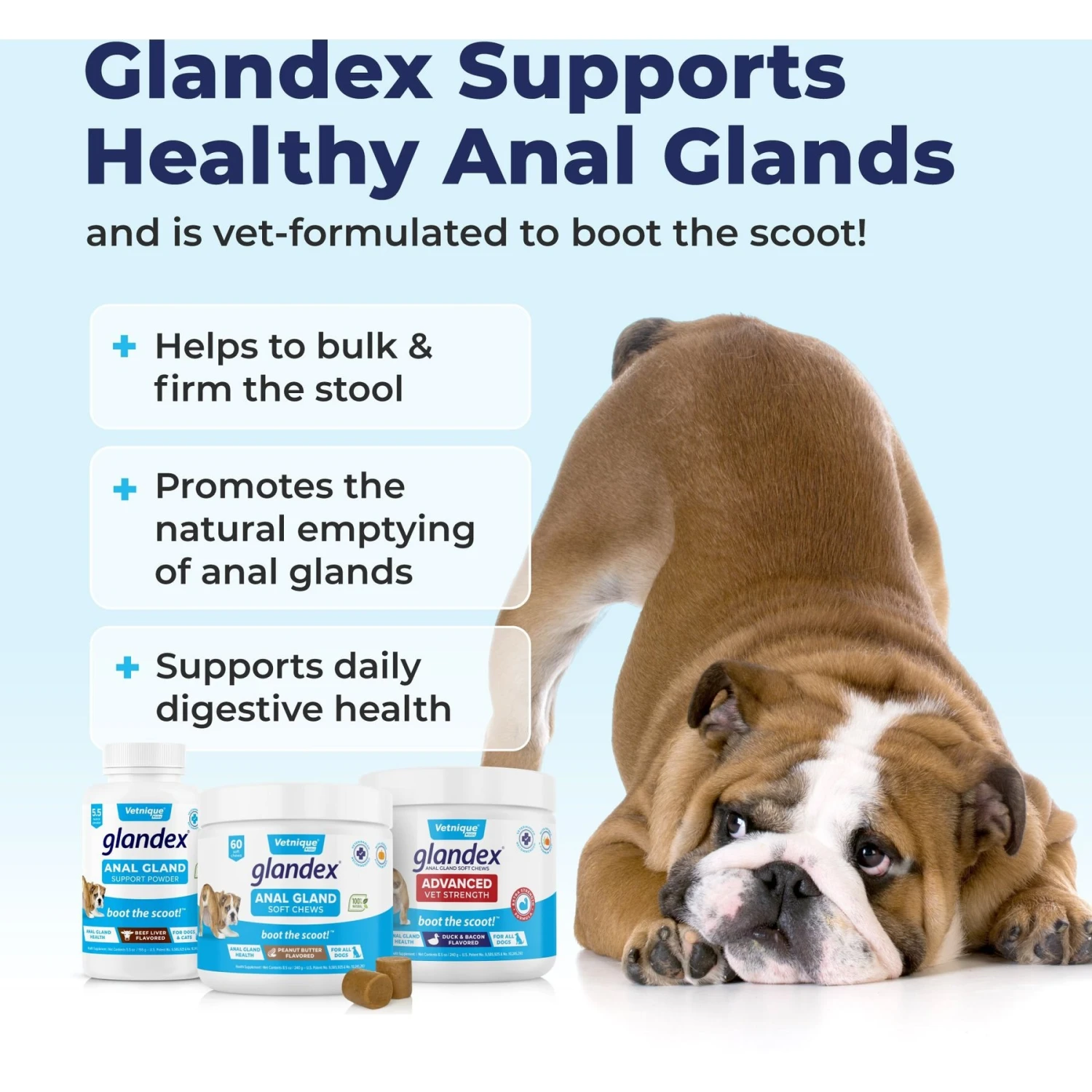 Vetnique Labs Glandex Anal Gland & Probiotic Beef Liver Flavored Pumpkin Fiber & Digestive Powder Supplement For Dogs & Cats 4 Vetnique Labs Glandex Anal Gland & Probiotic Beef Liver Flavored Pumpkin Fiber & Digestive Powder Supplement For Dogs & Cats - Image 4