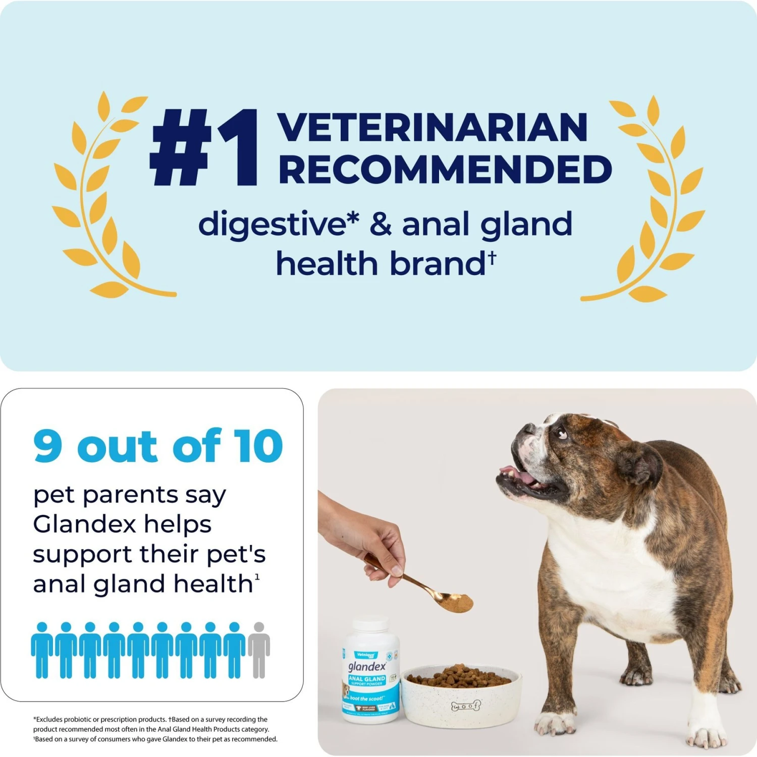 Vetnique Labs Glandex Anal Gland & Probiotic Beef Liver Flavored Pumpkin Fiber & Digestive Powder Supplement For Dogs & Cats 5 Vetnique Labs Glandex Anal Gland & Probiotic Beef Liver Flavored Pumpkin Fiber & Digestive Powder Supplement For Dogs & Cats - Image 5
