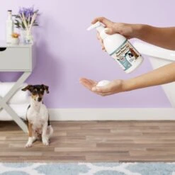 Ark Naturals Don't Worry Don't Rinse Me Waterless Dog & Cat Shampoo 12 Ark Naturals Don't Worry Don't Rinse Me Waterless Dog & Cat Shampoo -Pet Wellness 83733 PT3. AC SS1800 V1543359875