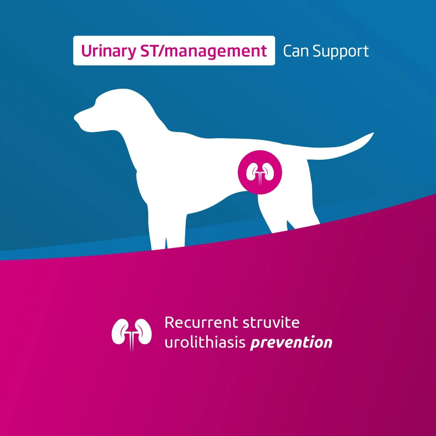 Farmina Vet Life Urinary ST Management Canine Dry Dog Food 2 Farmina Vet Life Urinary ST Management Canine Dry Dog Food - Image 2