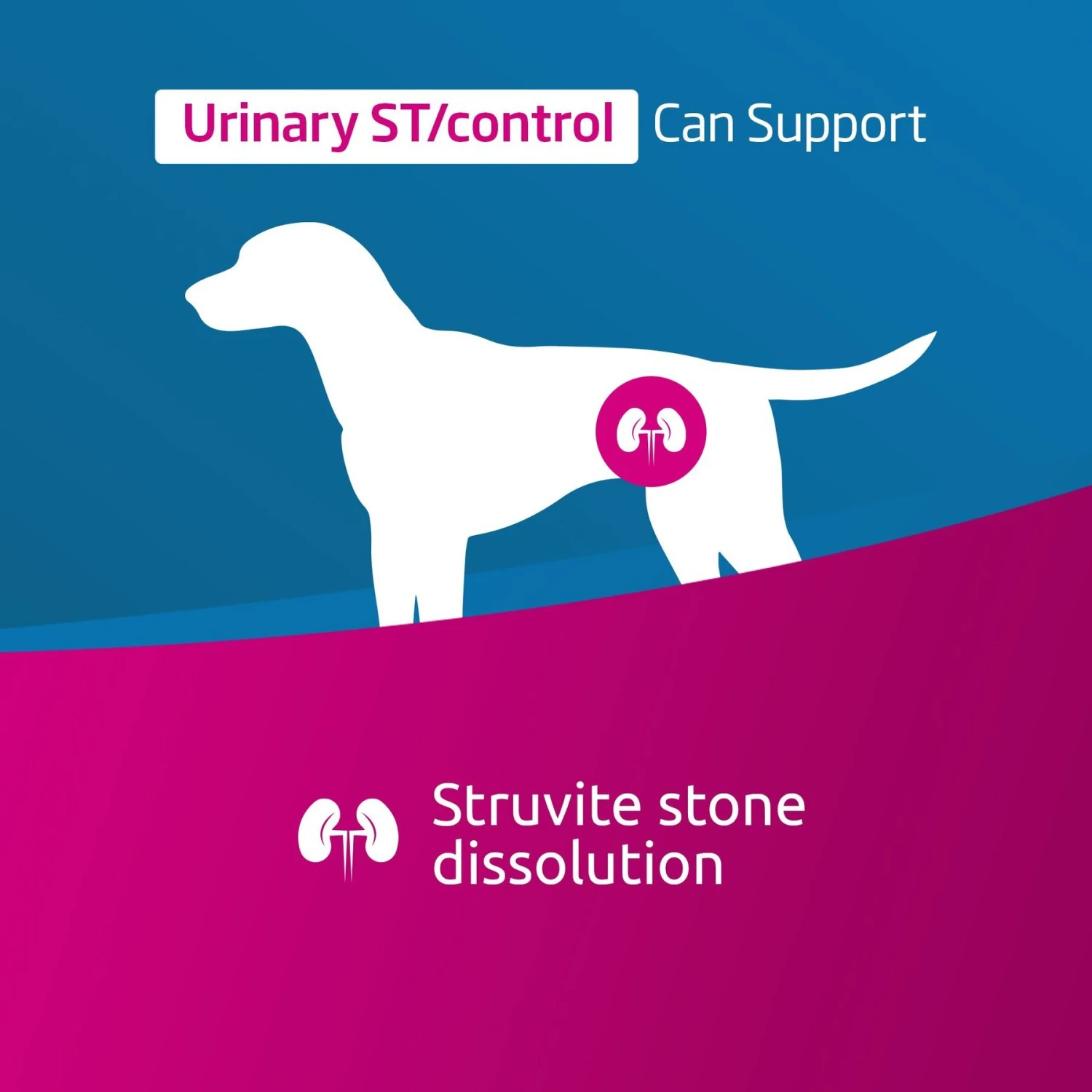 Farmina Vet Life Urinary ST Control Canine Dry Dog Food 2 Farmina Vet Life Urinary ST Control Canine Dry Dog Food - Image 2