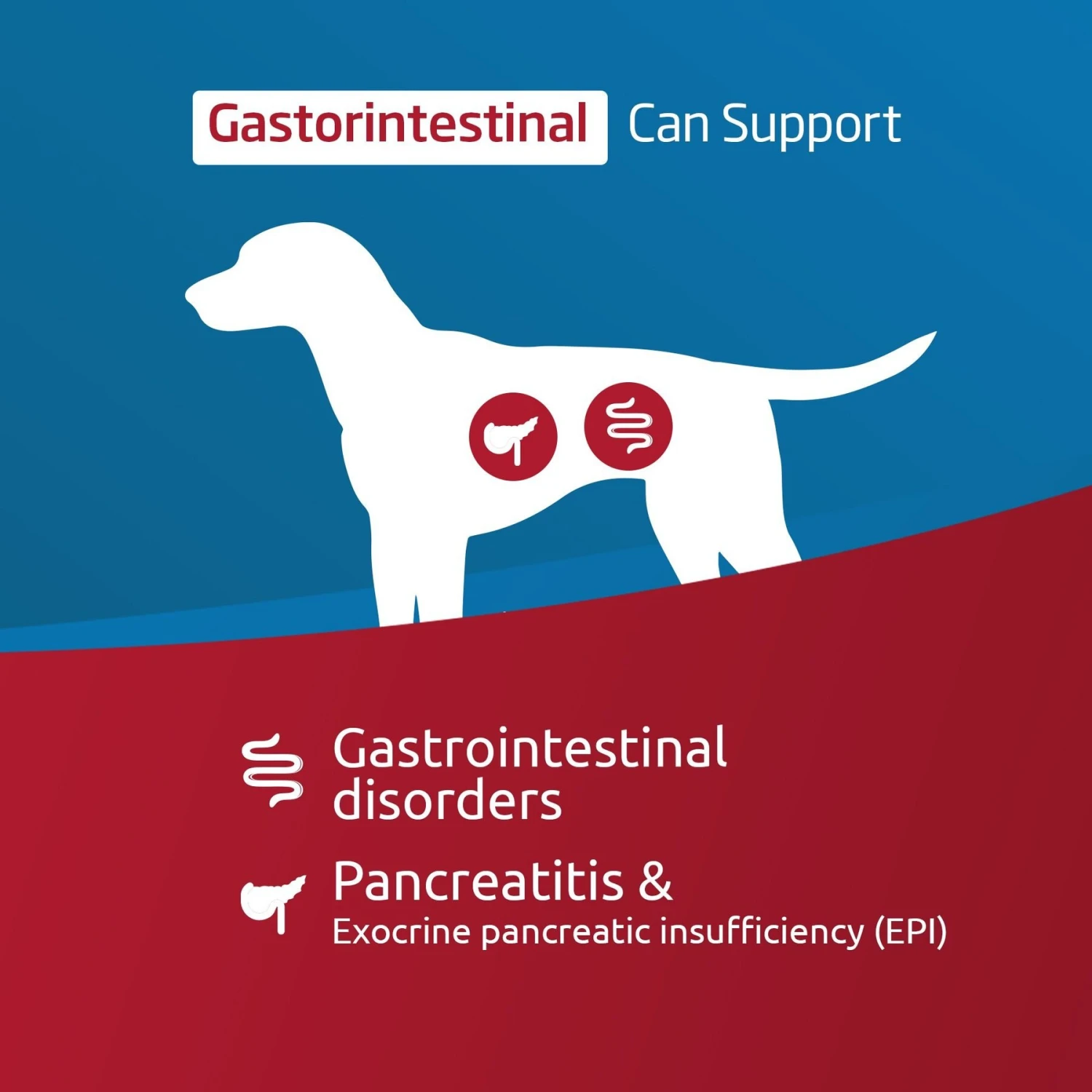 Farmina Vet Life Gastrointestinal Recipe Wet Dog Food 2 Farmina Vet Life Gastrointestinal Recipe Wet Dog Food - Image 2