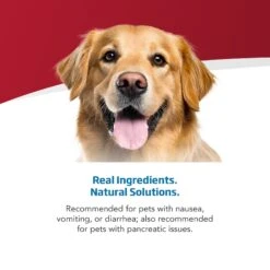 Farmina Vet Life Gastrointestinal Recipe Wet Dog Food 10 Farmina Vet Life Gastrointestinal Recipe Wet Dog Food -Pet Wellness 838102 PT3. AC SS1800 V1703880411