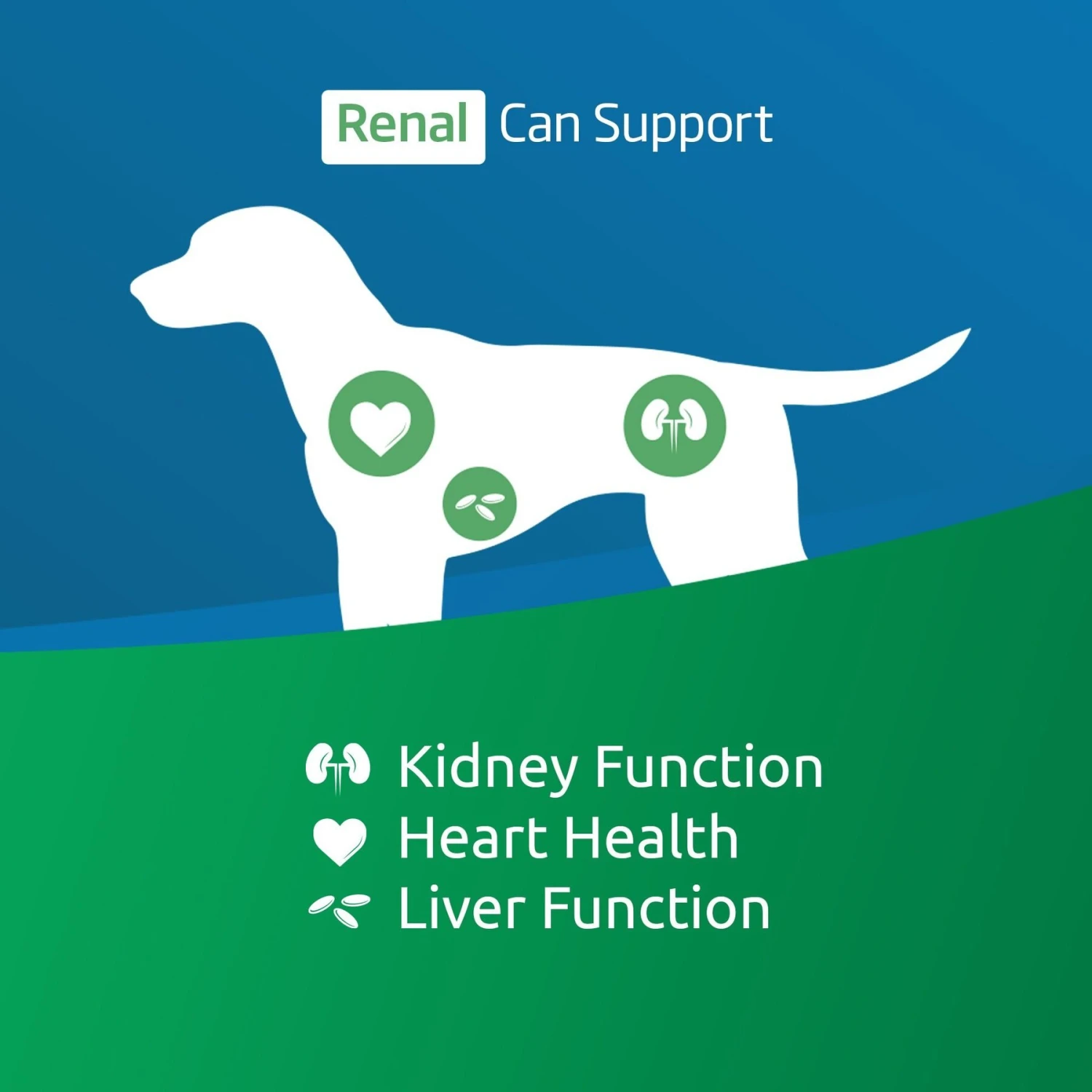 Farmina Vet Life Renal Recipe Wet Dog Food 2 Farmina Vet Life Renal Recipe Wet Dog Food - Image 2