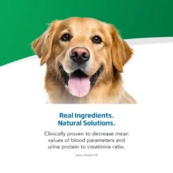 Farmina Vet Life Renal Recipe Wet Dog Food 10 Farmina Vet Life Renal Recipe Wet Dog Food -Pet Wellness 838150 PT3. AC SS1800 V1703880173