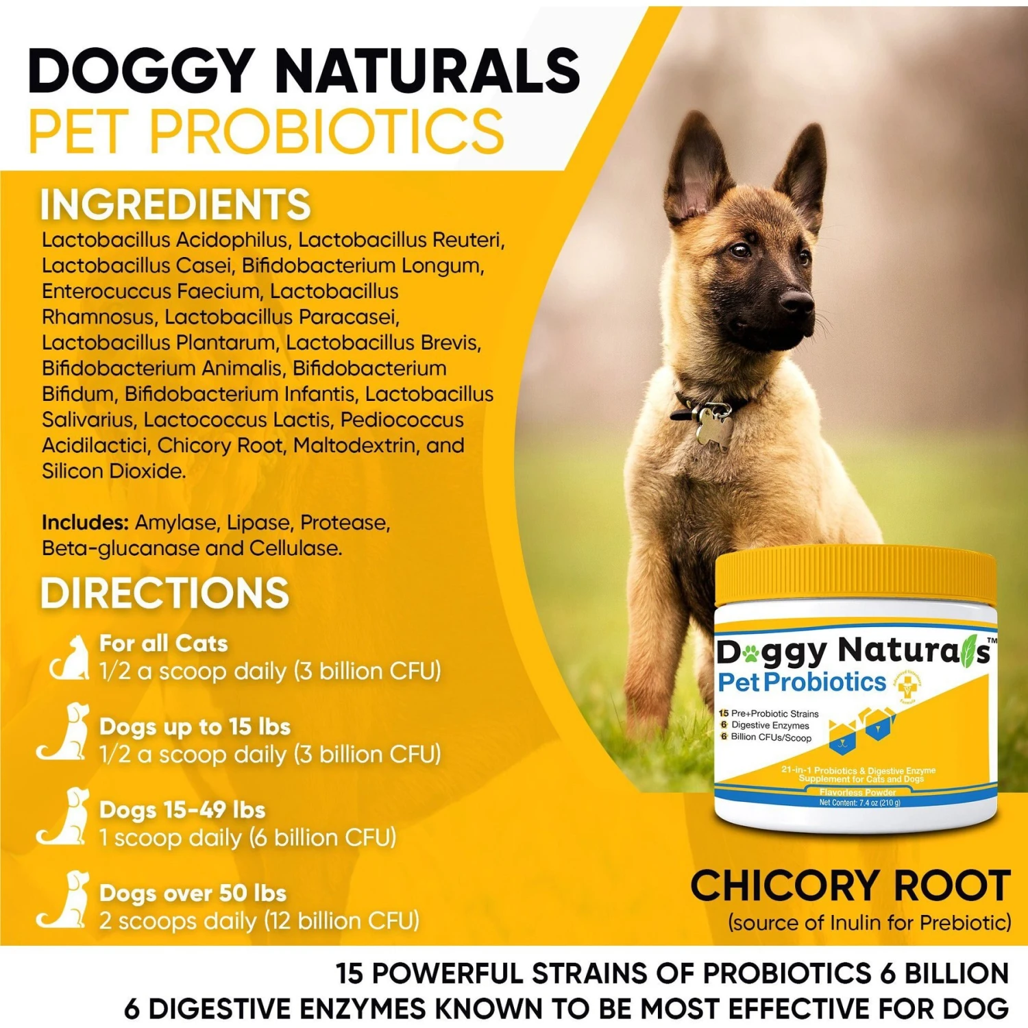 Pet Health Pharma Probiotics Advanced Max-Strength Cat & Dog Digestive Supplement, 7.4-oz Bag 2 Pet Health Pharma Probiotics Advanced Max-Strength Cat & Dog Digestive Supplement, 7.4-oz Bag - Image 2