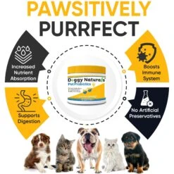 Pet Health Pharma Probiotics Advanced Max-Strength Cat & Dog Digestive Supplement, 7.4-oz Bag 11 Pet Health Pharma Probiotics Advanced Max-Strength Cat & Dog Digestive Supplement, 7.4-oz Bag -Pet Wellness 838758 PT4. AC SS1800 V1684495000