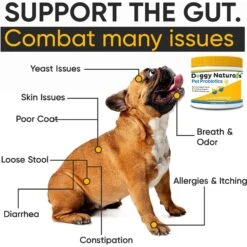 Pet Health Pharma Probiotics Advanced Max-Strength Cat & Dog Digestive Supplement, 7.4-oz Bag 12 Pet Health Pharma Probiotics Advanced Max-Strength Cat & Dog Digestive Supplement, 7.4-oz Bag -Pet Wellness 838758 PT5. AC SS1800 V1684498289