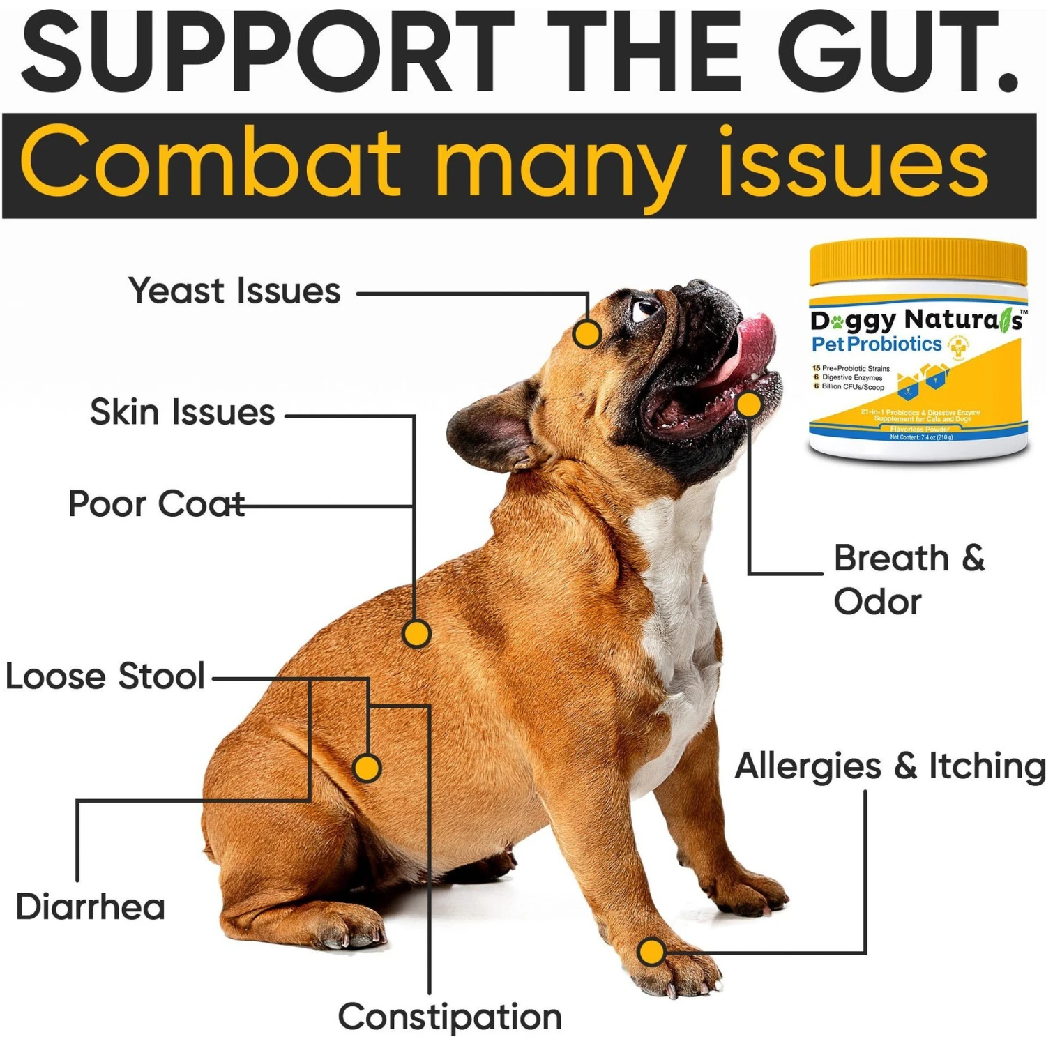 Pet Health Pharma Probiotics Advanced Max-Strength Cat & Dog Digestive Supplement, 7.4-oz Bag 6 Pet Health Pharma Probiotics Advanced Max-Strength Cat & Dog Digestive Supplement, 7.4-oz Bag - Image 6