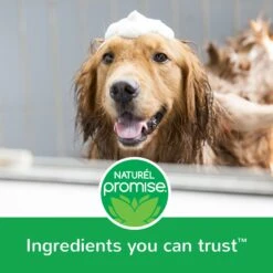 Naturel Promise Fresh & Soothing Ultra Soothing Medicated Dog Conditioner, 22-oz Bottle -Pet Wellness 841926 PT7. AC SS1800 V1682431464