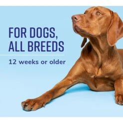 Naturel Promise Fresh & Soothing All Purpose Dog Wipes, 50 Count -Pet Wellness 841958 PT5. AC SS1800 V1682431333