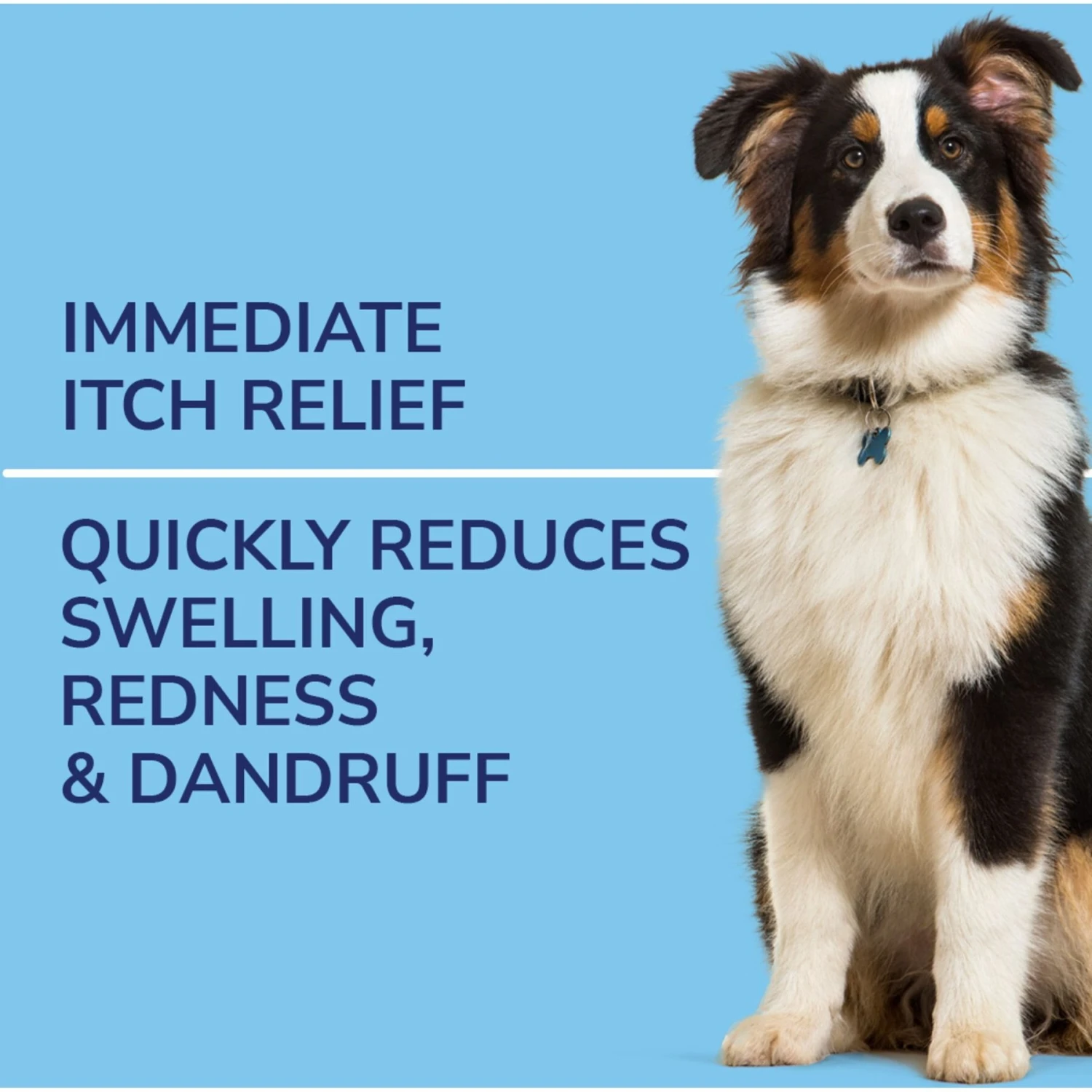 Naturel Promise Fresh & Soothing Oatmeal Itch Relief Medicated Dog Spray, 8-oz Bottle 2 Naturel Promise Fresh & Soothing Oatmeal Itch Relief Medicated Dog Spray, 8-oz Bottle - Image 2