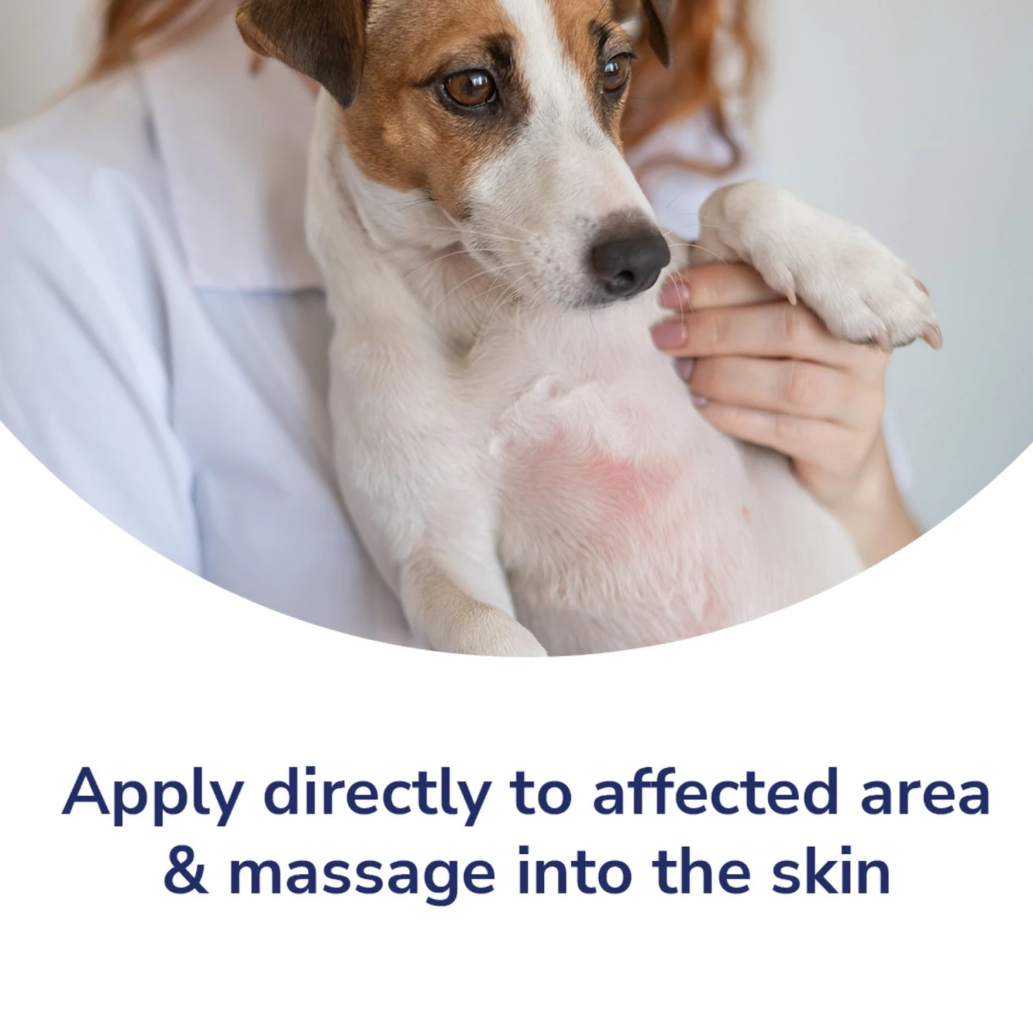 Naturel Promise Fresh & Soothing Oatmeal Itch Relief Medicated Dog Spray, 8-oz Bottle 3 Naturel Promise Fresh & Soothing Oatmeal Itch Relief Medicated Dog Spray, 8-oz Bottle - Image 3