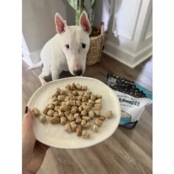 Sprankles Chicken Recipe Freeze-Dried Raw Dog Food 14 Sprankles Chicken Recipe Freeze-Dried Raw Dog Food -Pet Wellness 842878 PT5. AC SS1800 V1694719388