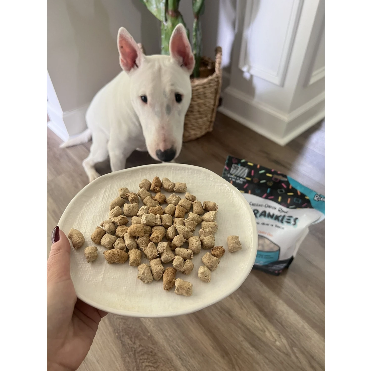 Sprankles Chicken Recipe Freeze-Dried Raw Dog Food 6 Sprankles Chicken Recipe Freeze-Dried Raw Dog Food - Image 6