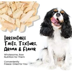 Sprankles Chicken Breast Grain-Free Freeze-Dried Dog & Cat Treats 11 Sprankles Chicken Breast Grain-Free Freeze-Dried Dog & Cat Treats -Pet Wellness 842894 PT3. AC SS1800 V1683815689