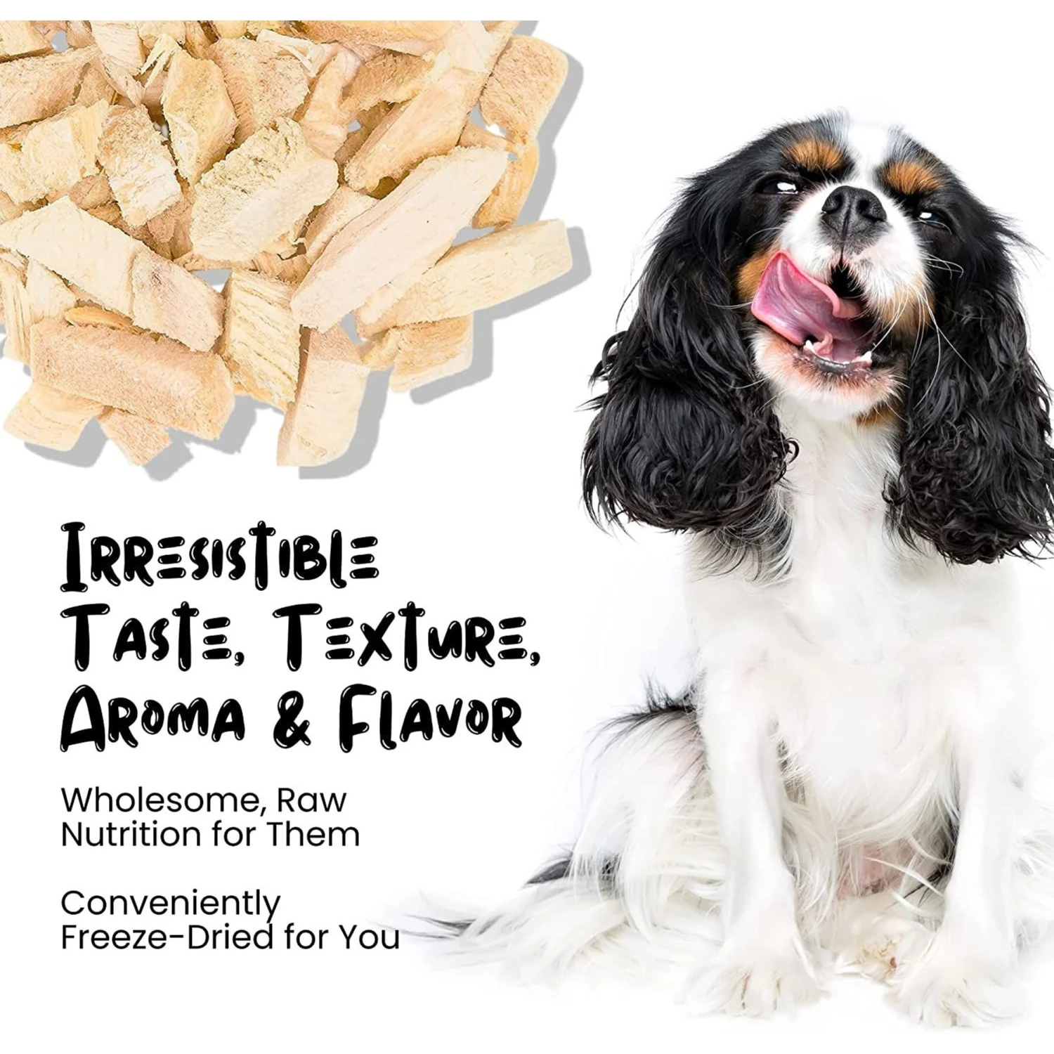 Sprankles Chicken Breast Grain-Free Freeze-Dried Dog & Cat Treats 4 Sprankles Chicken Breast Grain-Free Freeze-Dried Dog & Cat Treats - Image 4