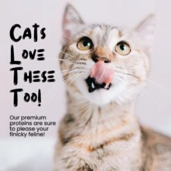 Sprankles Chicken Breast Grain-Free Freeze-Dried Dog & Cat Treats 12 Sprankles Chicken Breast Grain-Free Freeze-Dried Dog & Cat Treats -Pet Wellness 842894 PT4. AC SS1800 V1683815688